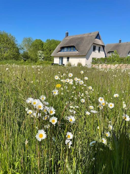 Stilvolles Reetdachhaus Coastline An Der Ostsee Грос Шванзе Екстер'єр фото