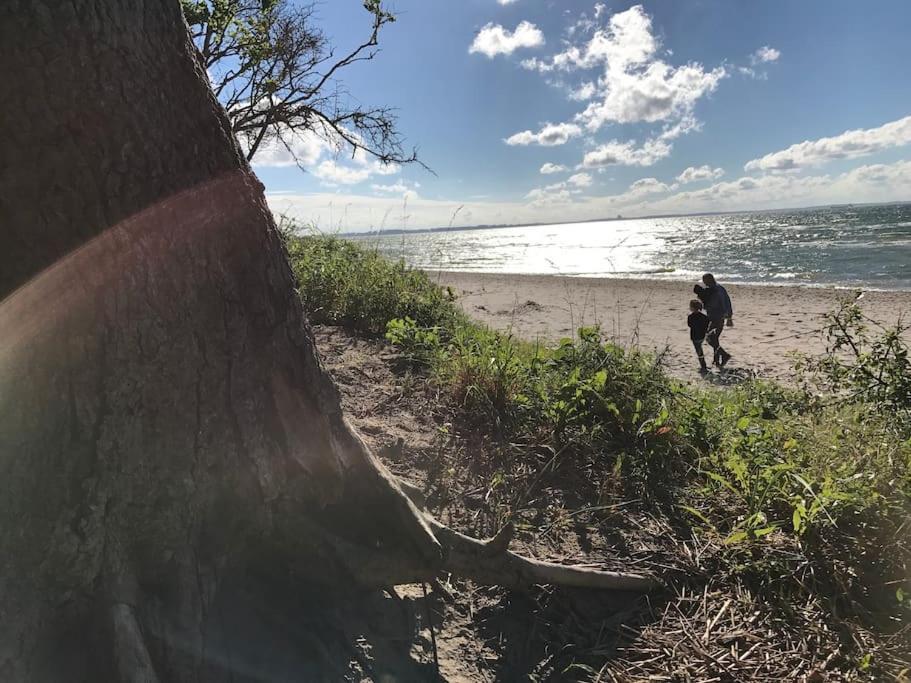 Stilvolles Reetdachhaus Coastline An Der Ostsee Грос Шванзе Екстер'єр фото